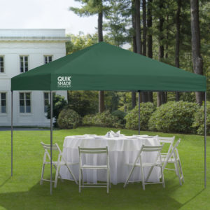 Quik Shade - QS EX100 10x10 STRAIGHT LEG CANOPY, GREEN COVER, GRAY FRAME