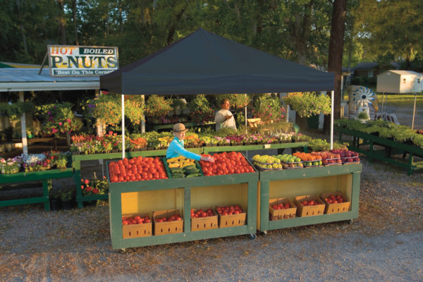 ShelterLogic - 10x10 ST Pop-up Canopy, Black Cover, Black Roller Bag