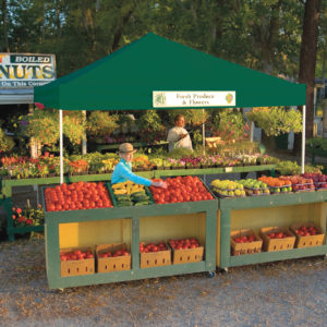 ShelterLogic - 12x12 ST Pop-up Canopy, Green Cover, Black Roller Bag