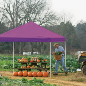 ShelterLogic - 10x10 ST Pop-up Canopy, Purple Cover, Black Roller Bag