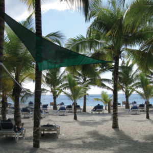 ShelterLogic - 16 ft. / 4,9 m Triangle Shade Sail - Evergreen 230 gsm