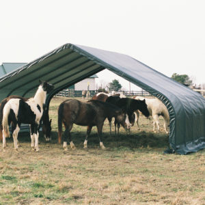 ShelterLogic - 22x20x10 Peak Style Run In/Hay Storage Shelter, Green Cover