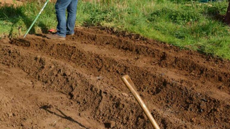 Prepare the Ground for Carport Building