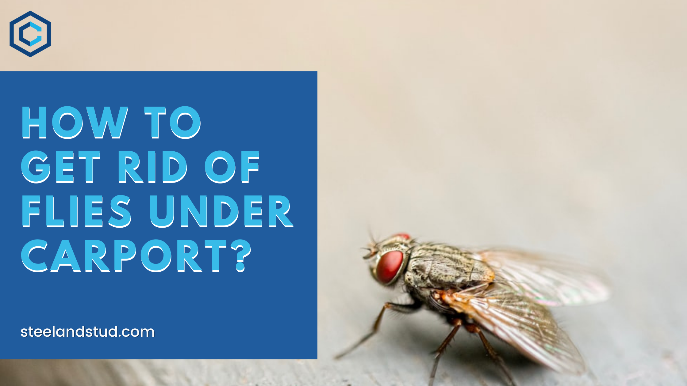 How To Get Rid of Flies Under Carport?