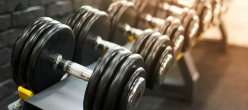 Barbells And Dumbbells Weight Set