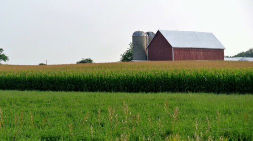 ohio Agriculture Industry
