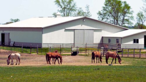 Metal Horse Barn