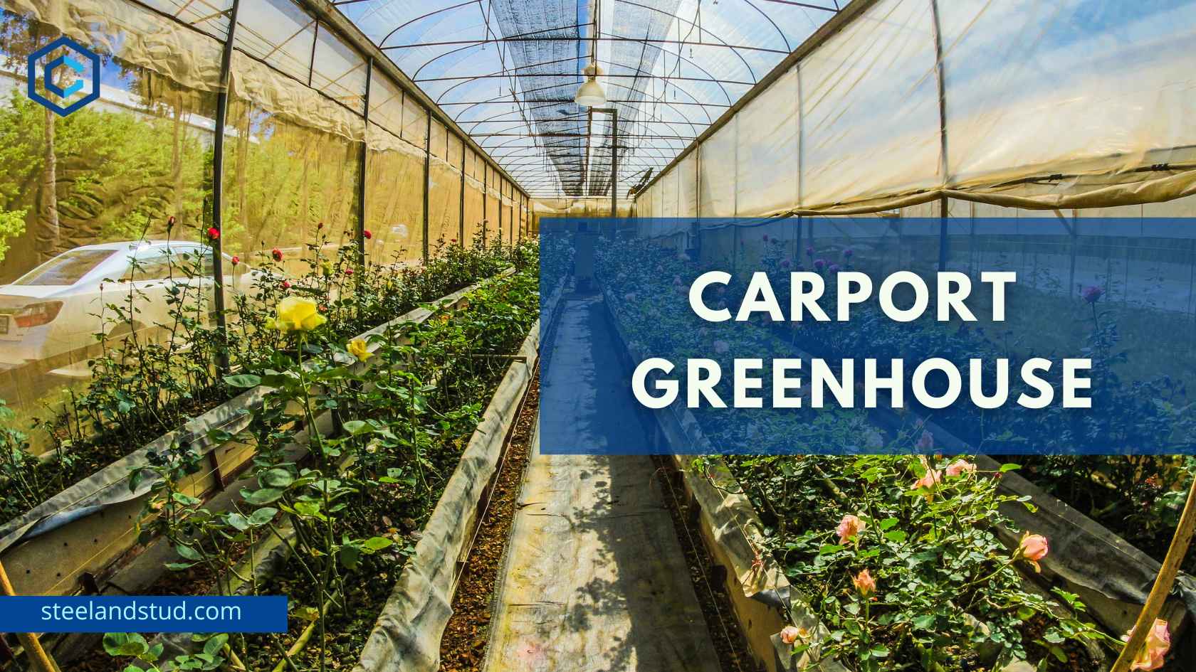 Carport Greenhouse