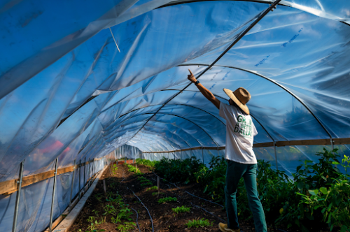 carport greenhouse