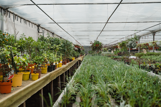 greenhouse ventilation