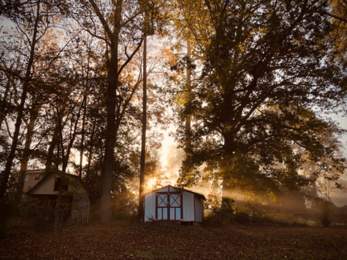 new shed