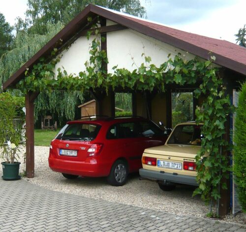 creepers on carport