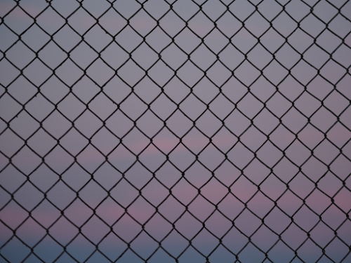 wire mesh