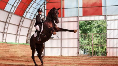 a photo realistic image of a rider on a black horse in an indoor riding arena. The rider is wearing a white shirt, white pants, black boots and a black helmet.