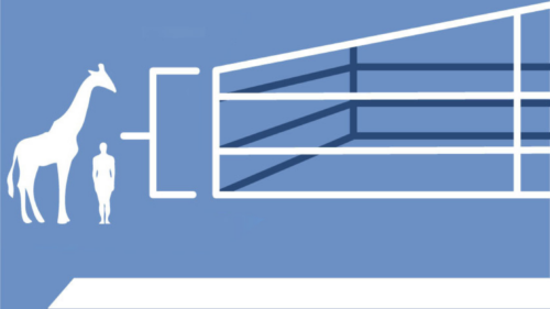 The Right Height For Your Metal Building