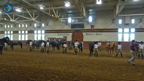 side Lights of indoor riding arenas