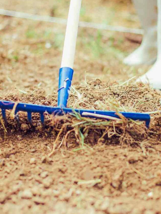 How to Level Ground For Metal Carports