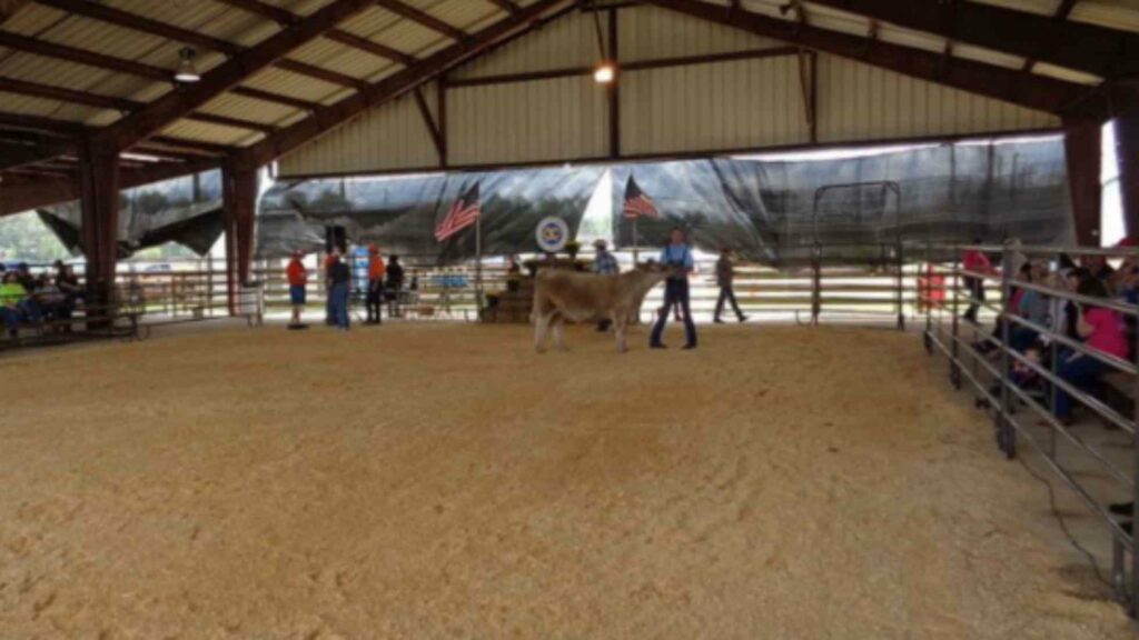 Indoor riding arena