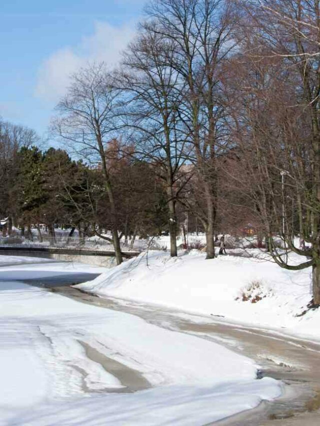 Winter Carport – A Complete Guide