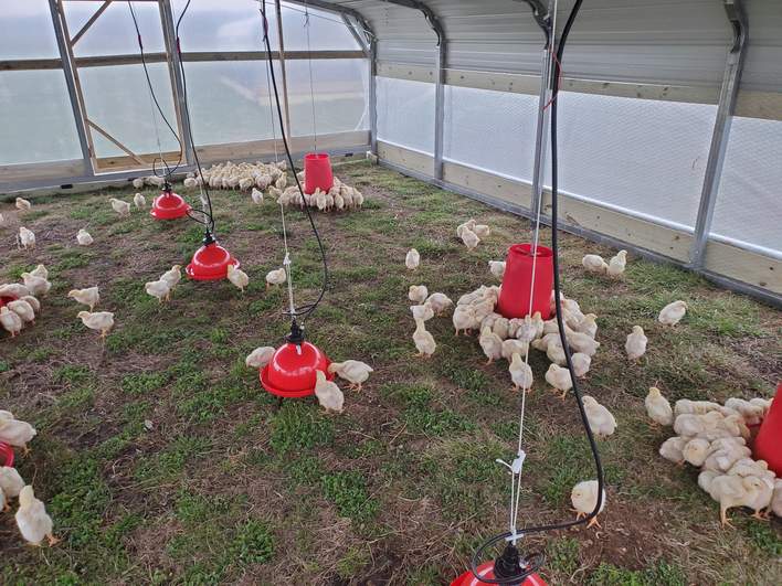 18x25x4 metal barn / bird hatchery